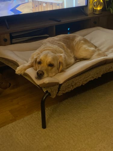 Amy V. review of HiK9 Bed with Fawn Mesh Cover image 1 out of 1