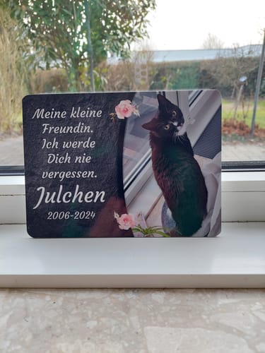 Customer photo review of Katzen Gedenktafel mit Foto & Spruch (UV- & Wetterfest)