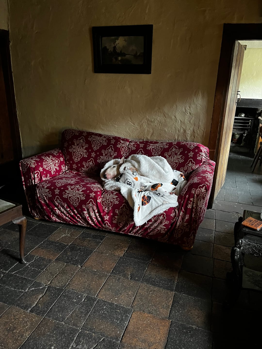Customer photo review of Luxury Dog & Human Blanket