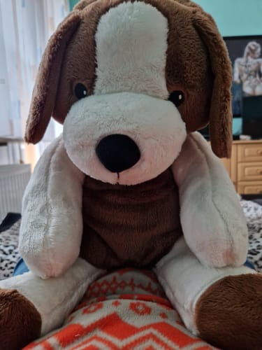 Customer photo review of Lotgenootje Hond 2kg