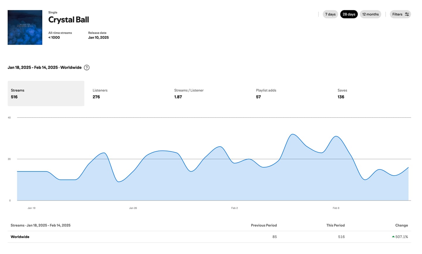 Customer photo review of Facebook & Instagram Ads For Spotify Growth