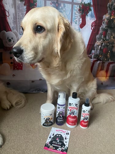 Customer photo review of Christmas Edition: Roasted Chestnut & Cinnamon Bundle