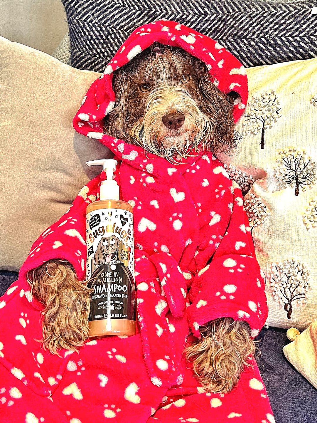 Customer photo review of One in a Million Dog Shampoo