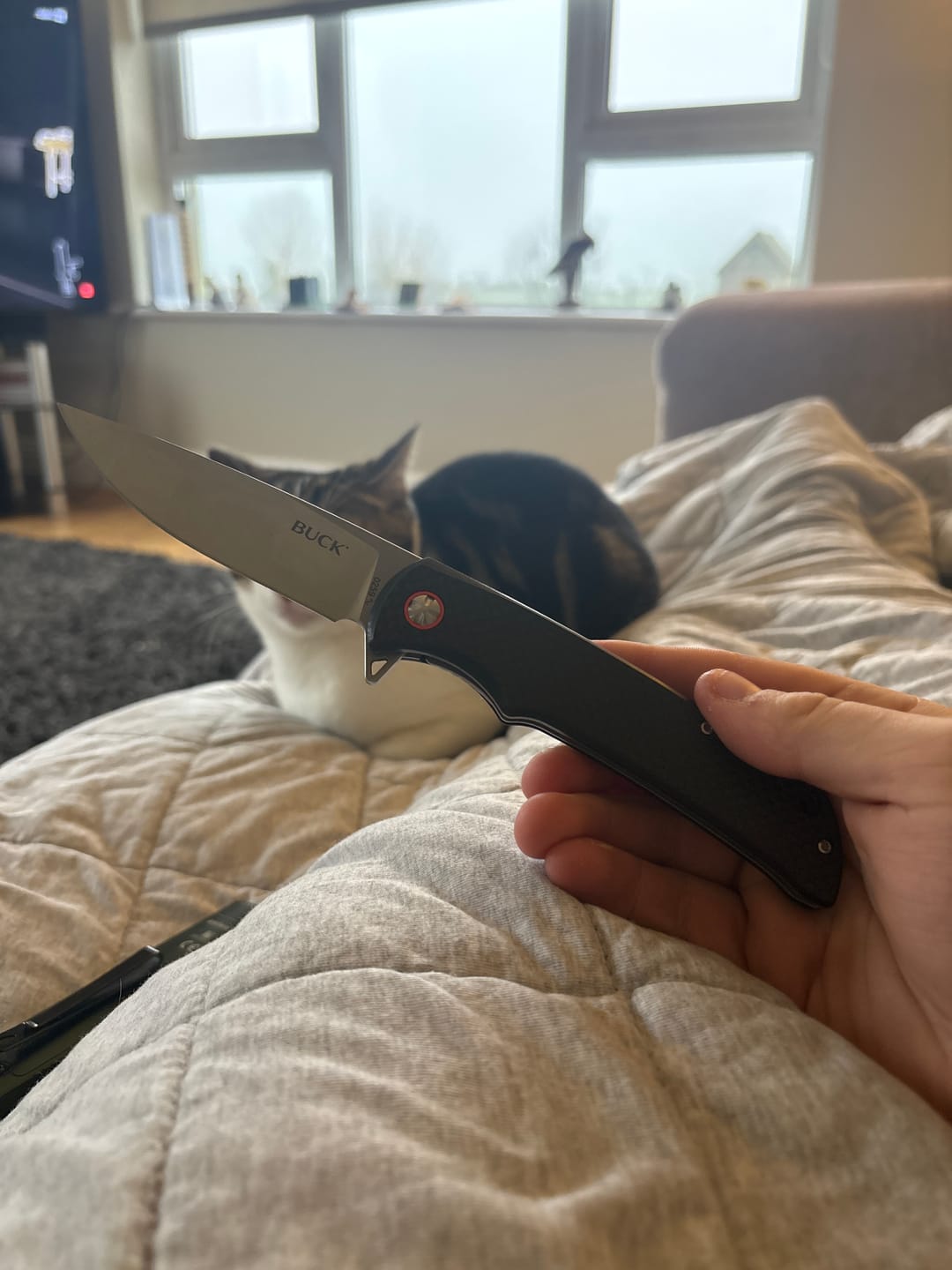Customer photo review of Buck 259 Haxby Knife