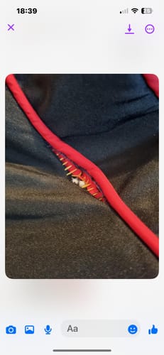 Customer photo review of Gaming Lounger