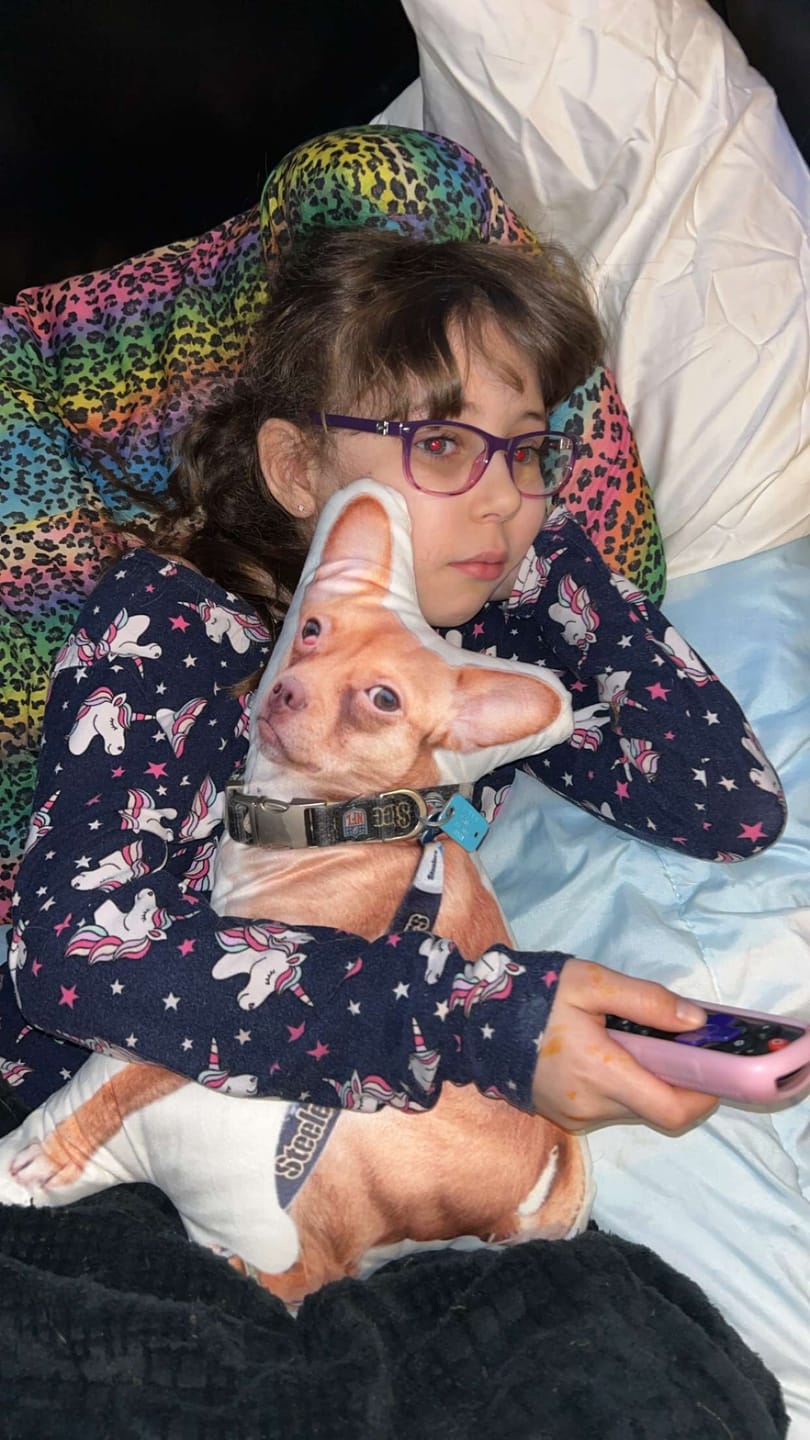 Customer photo review of Custom Pet Shaped Pillow that Look Like your Pet - ThePetPillow