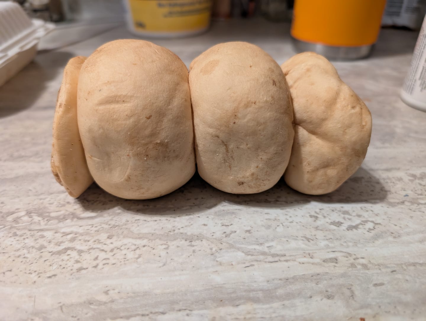 Customer photo review of 5-6 Inch Peanut Butter Cheek Roll
