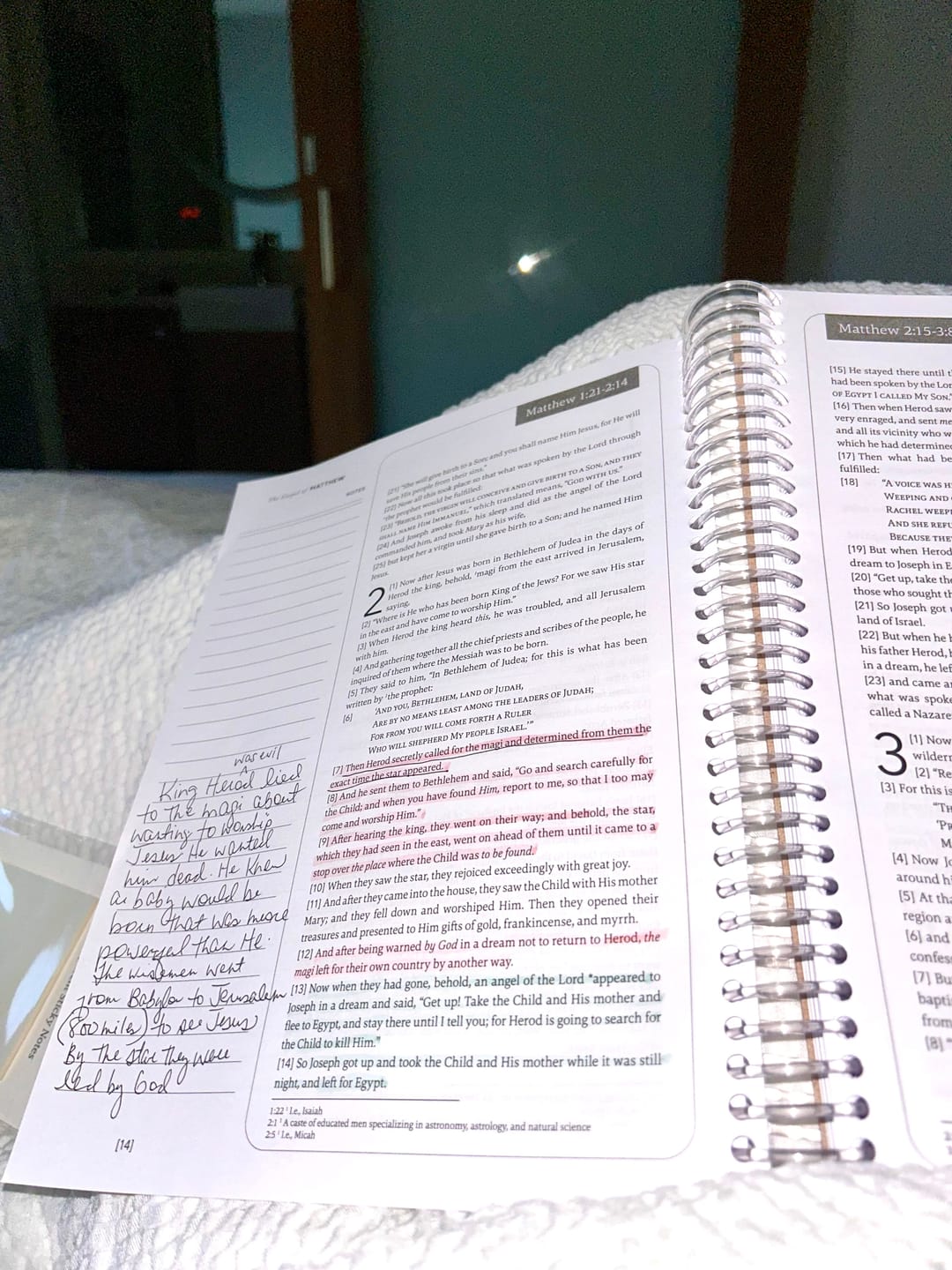 Customer photo review of Spiral Bible™ Pastel Pen Pack