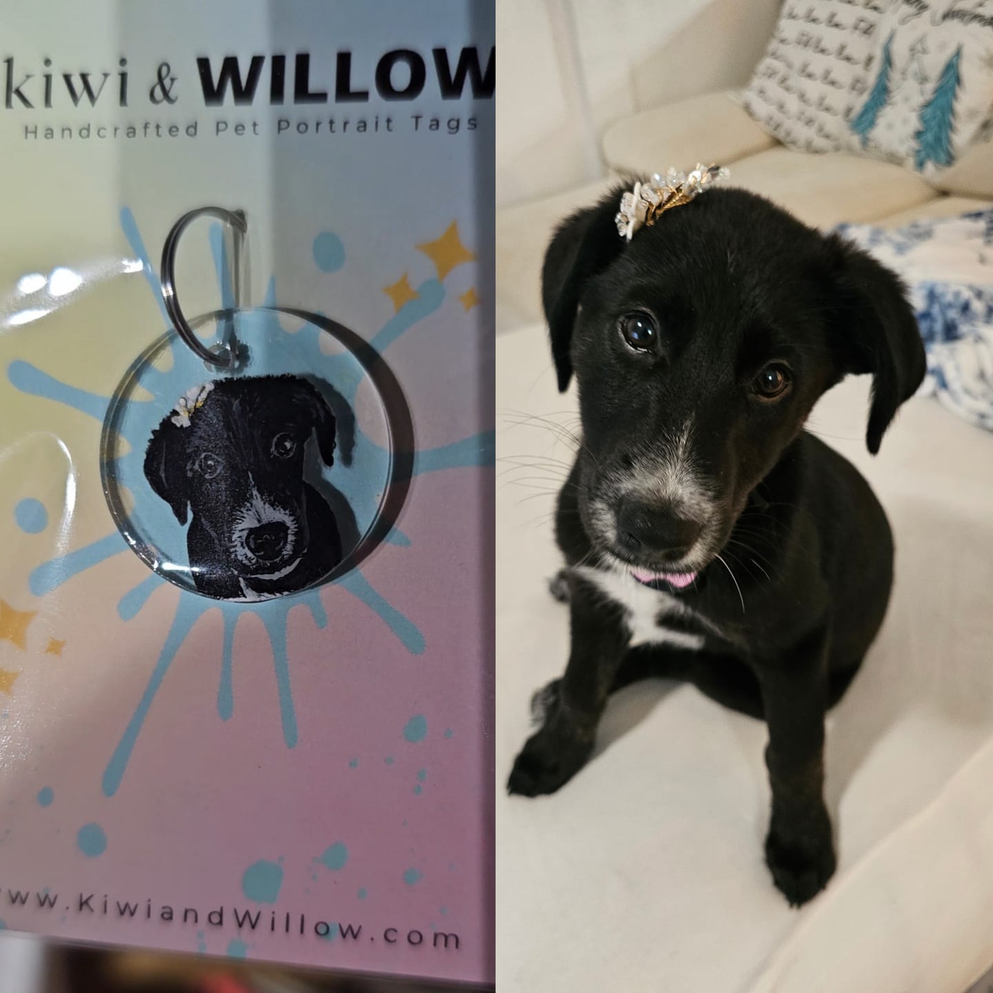 Customer photo review of Custom Pet Charms