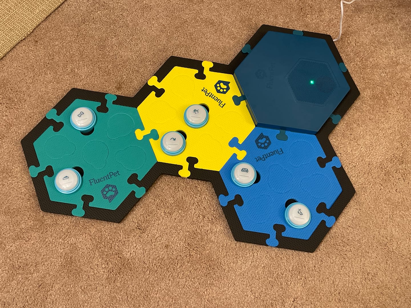 Customer photo review of Connect Get Started Kit with Base