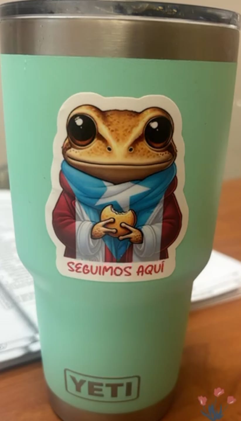 Customer photo review of Debí tirar más fotos (Sticker Laminado)