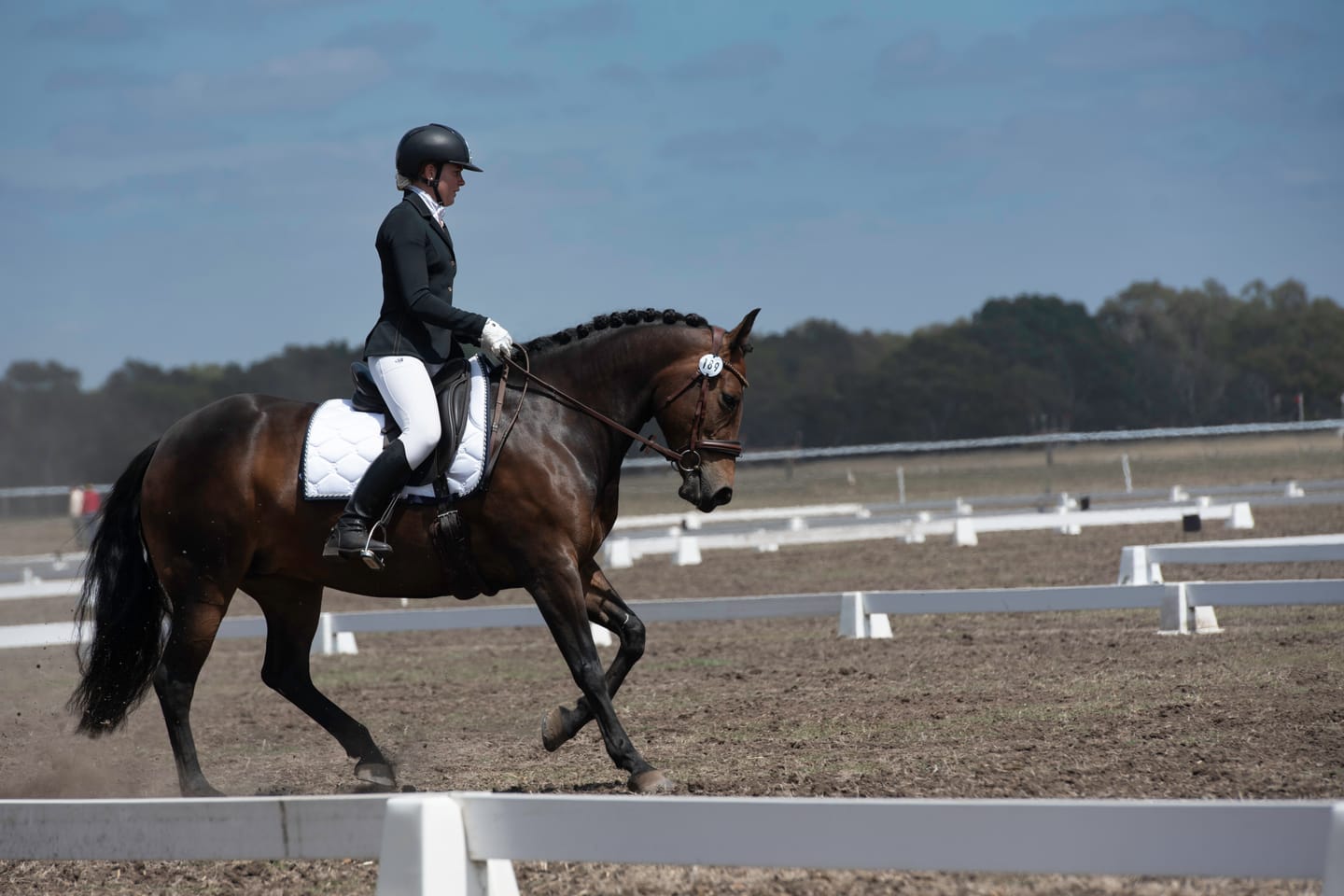 Customer photo review of PSOS Dressage Pad Signature, White w/ Navy Trim