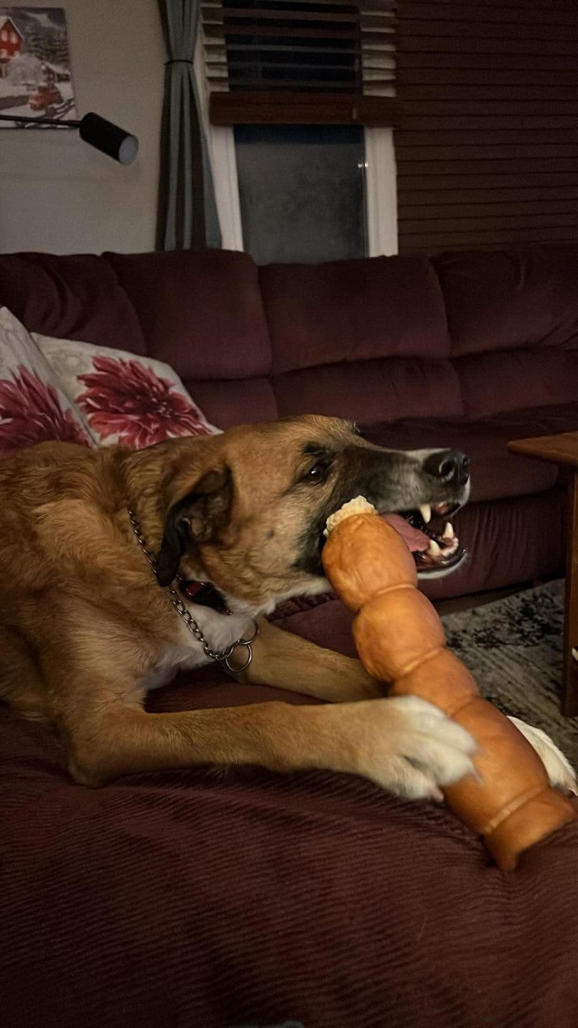 Customer photo review of 10-12 Inch Peanut Butter Cheek Roll