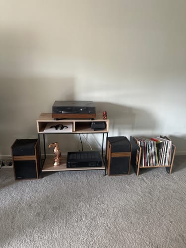 Customer photo review of A120 Vinyl Record Shelf