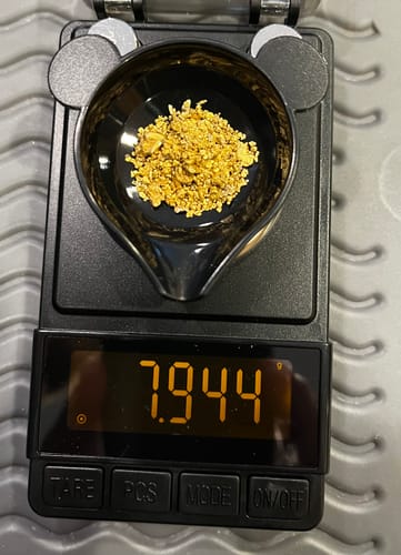 Customer photo review of *TROGO* Flawless '$5,000 GOLD NUGGET DISCOVERY' - Gold Panning Paydirt