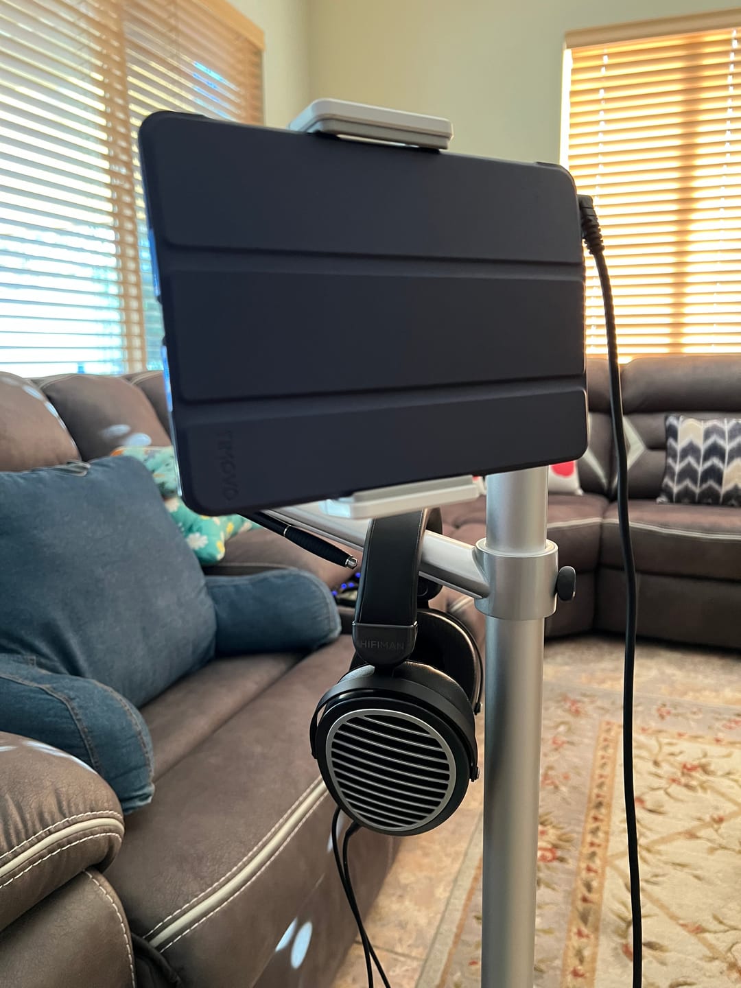 Customer photo review of Hifiman Edition XS Headphones