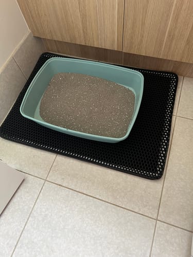Customer photo review of Dual-Layer Honeycomb Cat Litter Mat - Easy Clean, Non-Slip