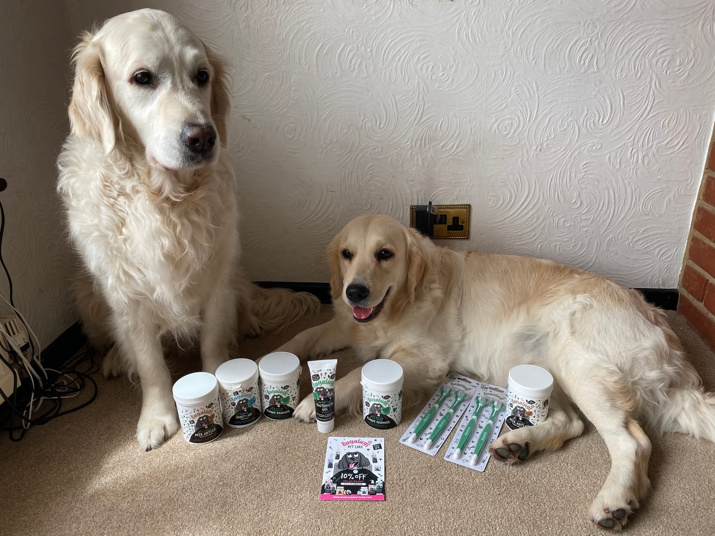 Customer photo review of Hand-harvested Irish Seaweed Plaque Remover for Dogs & Cats (200g)