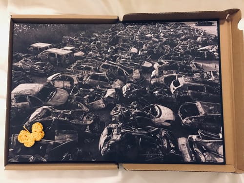 Customer photo review of זיו קורן l ספר שִׁבְעָה בְּאוֹקְטוֹבֶּר - ספר צילום