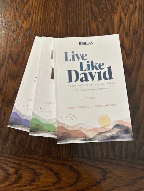 Customer photo review of Live Like David - Daily Devotional Journal - 3 Volume Softcover Set