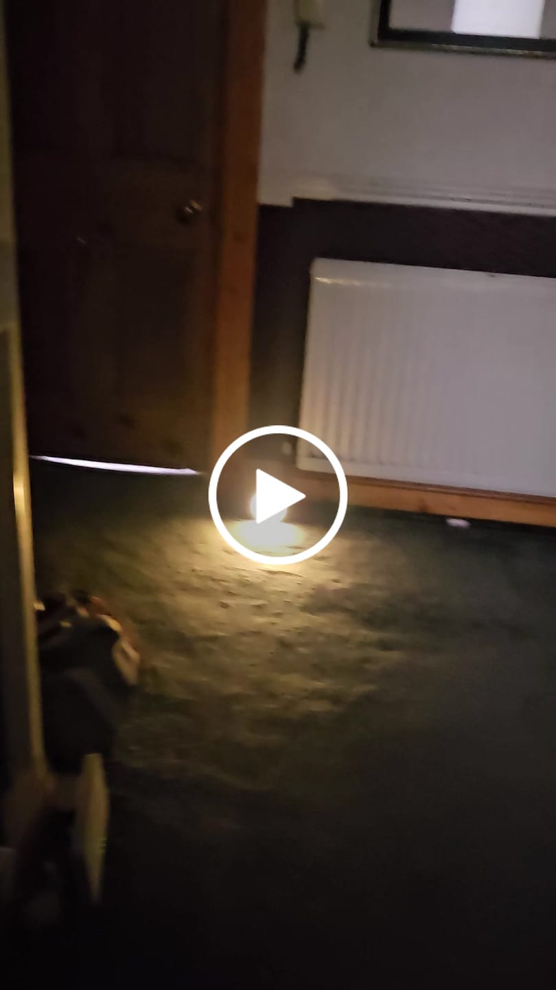Customer video review of Lumi™ Motion Light