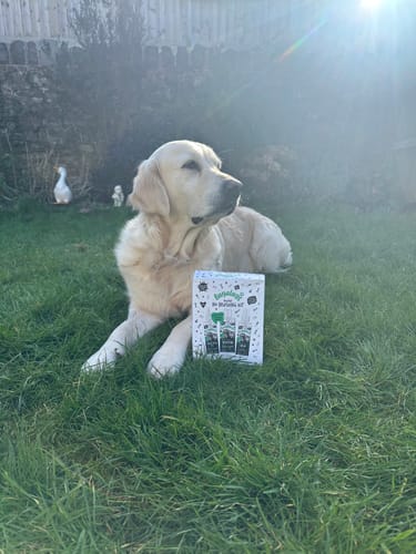 Customer photo review of Dental No Brushing Kit for Dogs & Cats