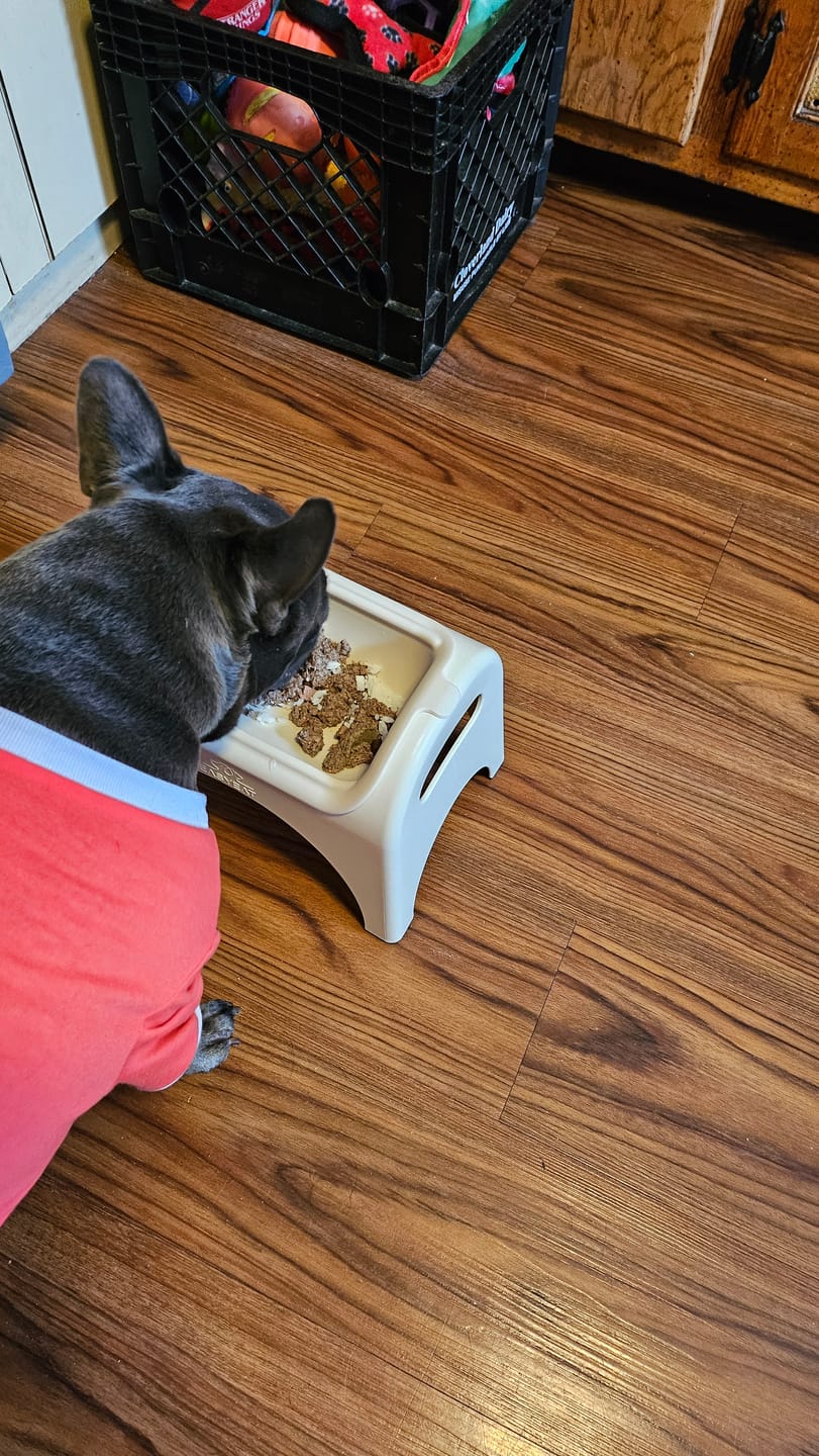 Customer photo review of Venison Dog Food 1.5lb Frozen Rolls - Case of 8 Rolls
