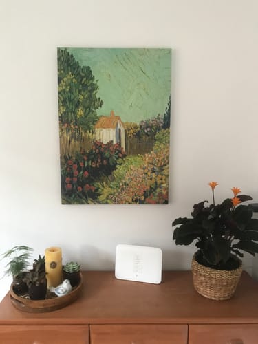 Customer photo review of ASSICURAZIONE PACCO