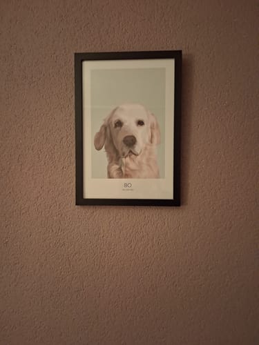 Customer photo review of Realistisch Portret