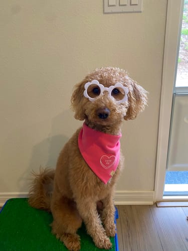 Customer photo review of Conversation Heart Embroidered Bandana
