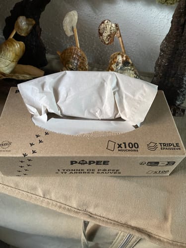 Avis photo d'un client sur KIT DÉCOUVERTE - Papier toilette, essuie-tout, mouchoirs