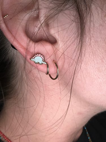 Customer photo review of Pastel Dinos