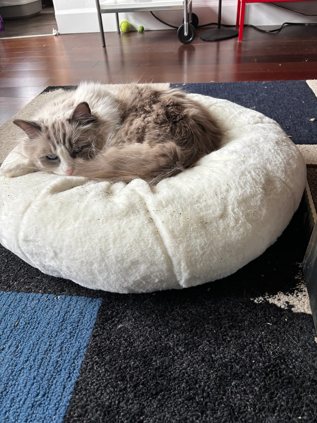 Customer photo review of Sourdough Pudding Bed