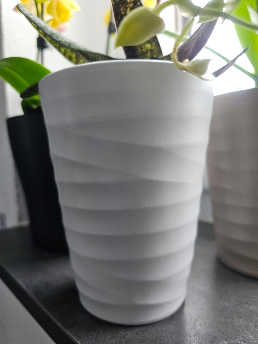 Customer photo review of Übertopf Wave Vase in verschiedenen Farben (9cm Töpfe)