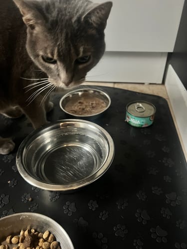 Customer photo review of 24 cans of Flaked Chicken and Fish Variety Pack, 2.8-oz