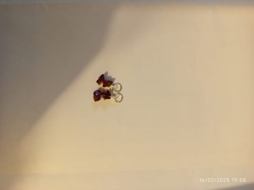 Customer photo review of צארם גרנט | Tiny