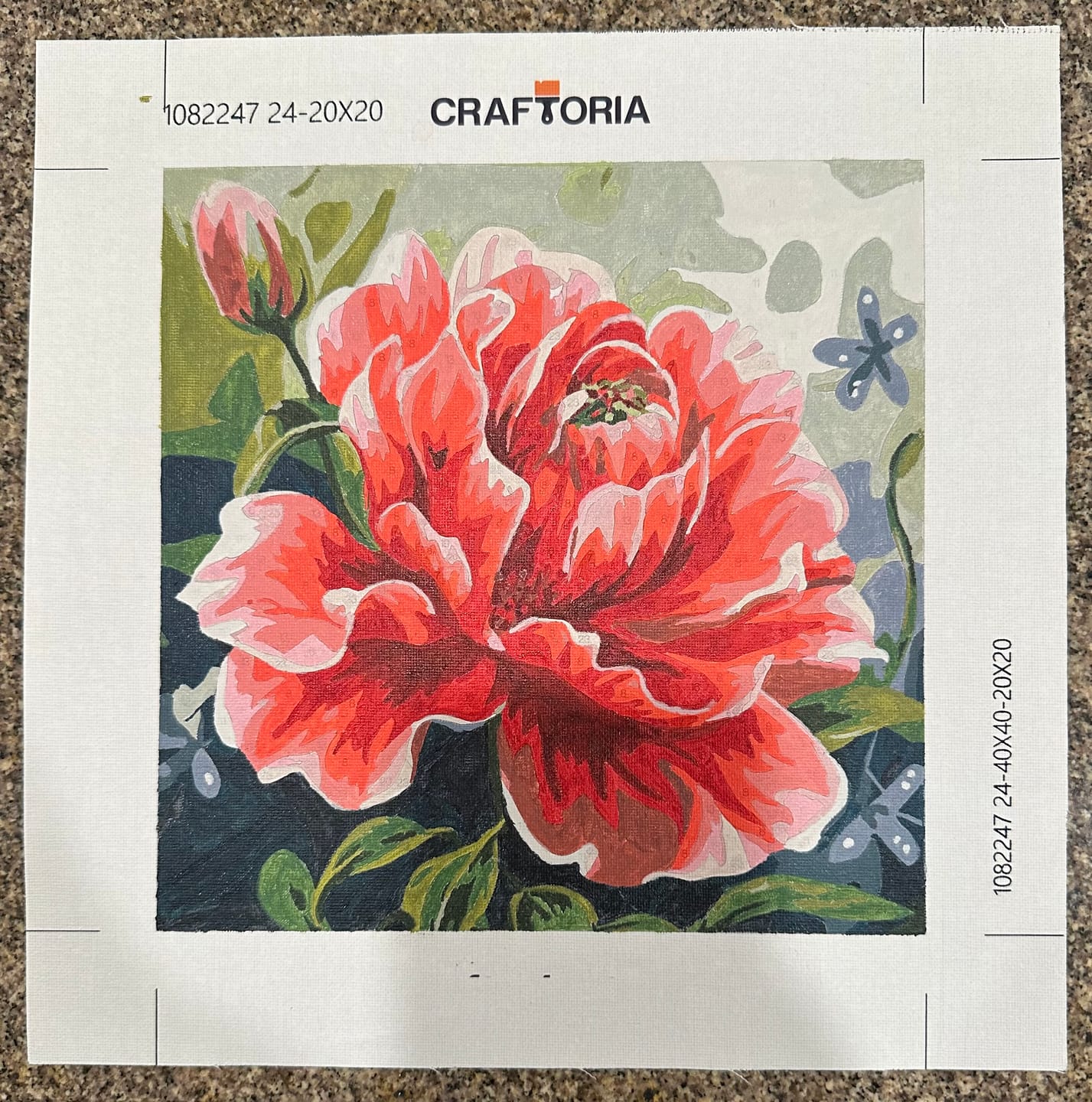 Customer photo review of Dose Of Rose Mini Kit