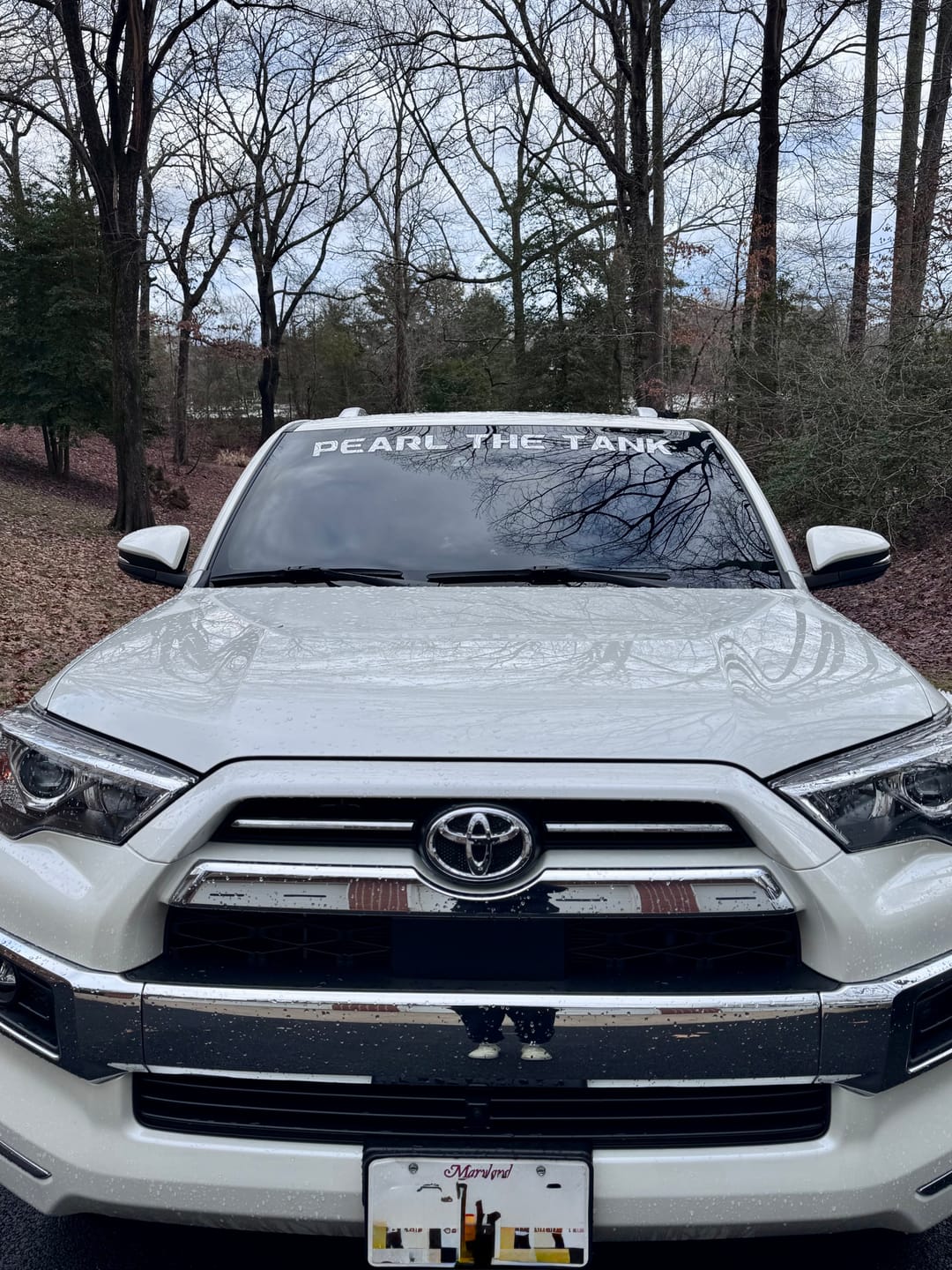 Customer photo review of Windshield Lettering