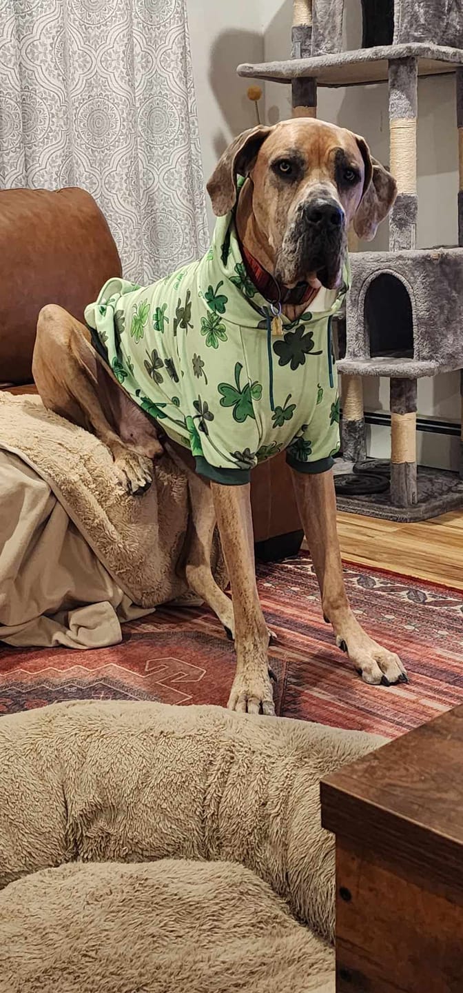 Customer photo review of St. Paddy's Human Hoodie - Light Green (Limited Edition)