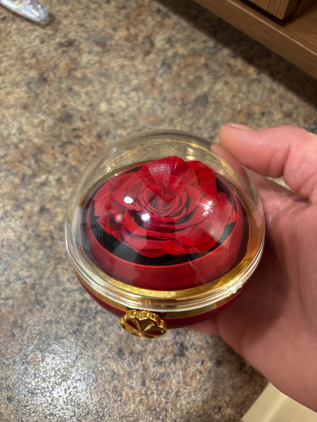 Customer photo review of Eternal Rose Round Box - W/ Engraved Necklace & Real Rose
