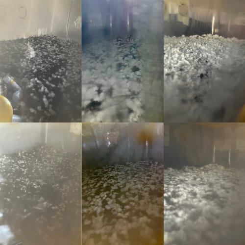 Customer photo review of Fundamentos y Cultivo de Hongos - Curso Online