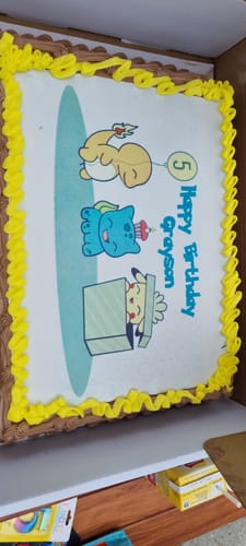 Customer photo review of A3 Rectangle Custom Edible Icing Image
