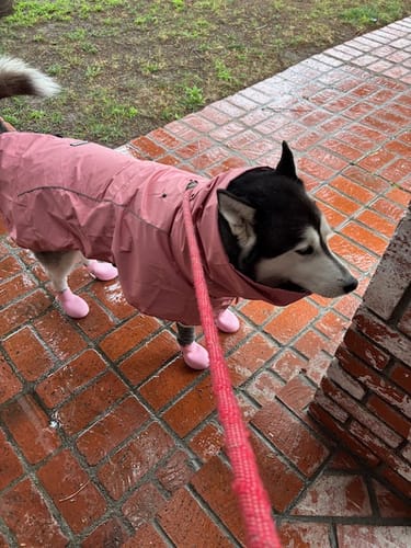 Customer photo review of WagWellies® by wagwear