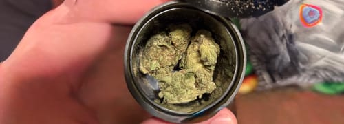 Customer photo review of Gorilla Glue - 4 Grams - Indica