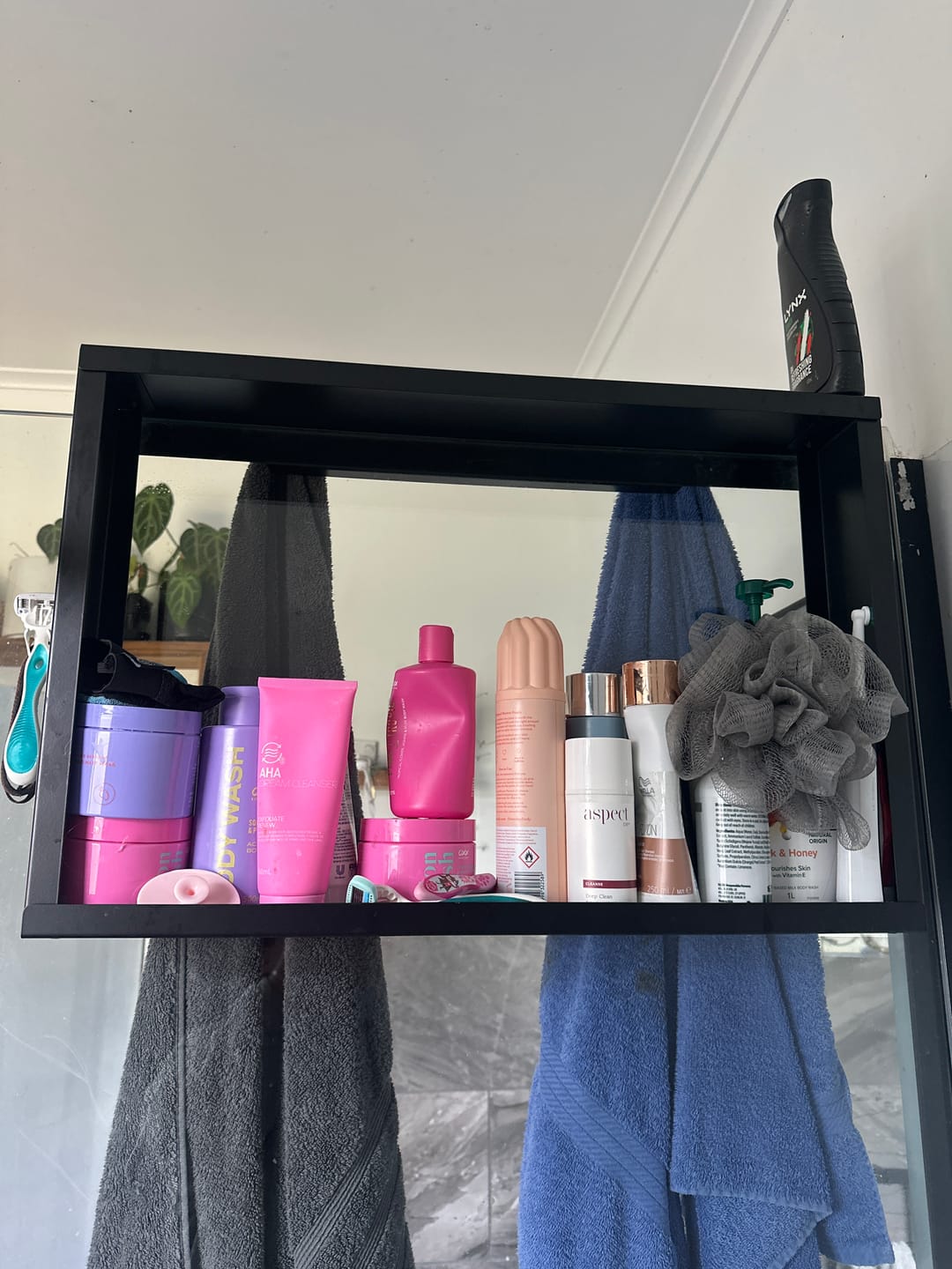 Customer photo review of Shower Shelf Caddy