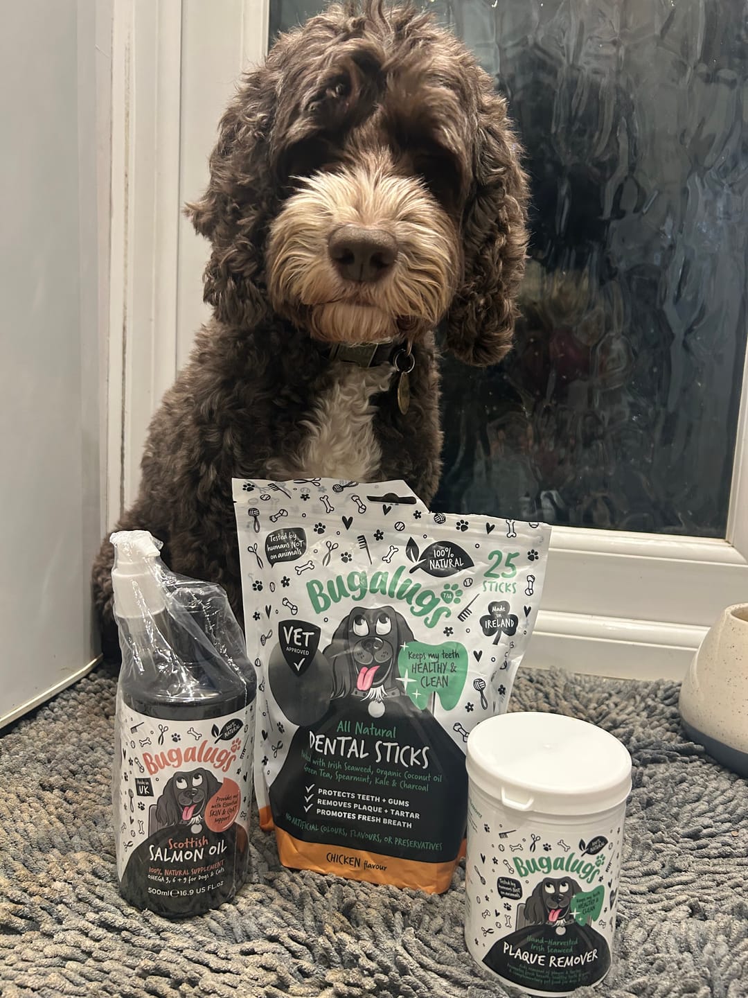 Customer photo review of All Natural Chicken Flavour Seaweed Dental Sticks