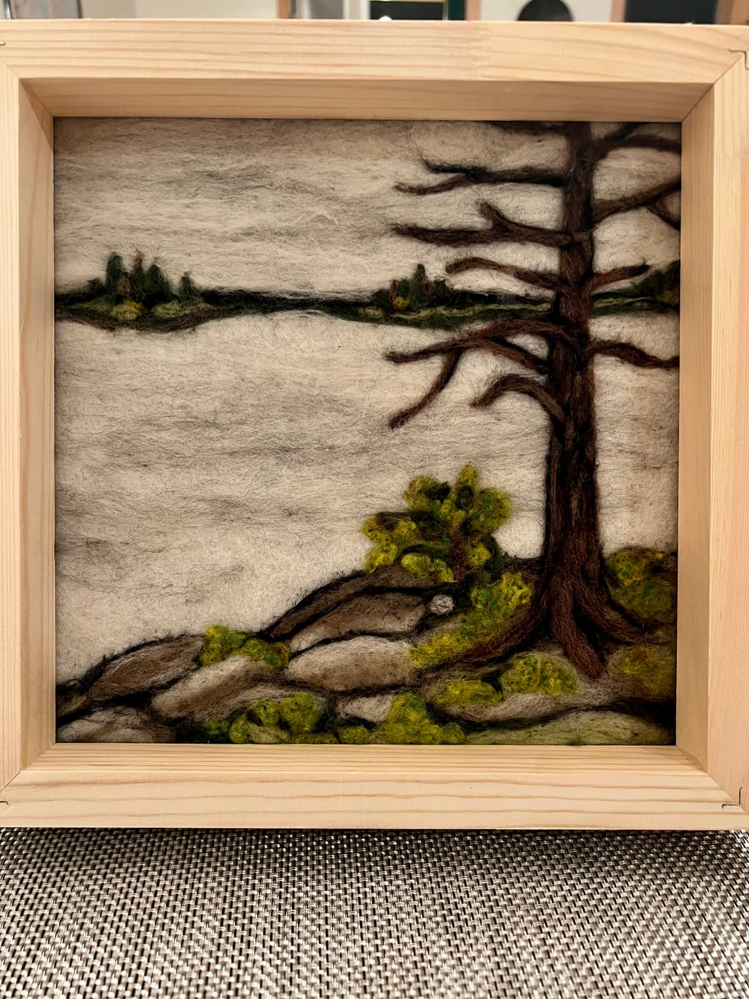 Customer photo review of Lake Reflections Needle Felting Kit