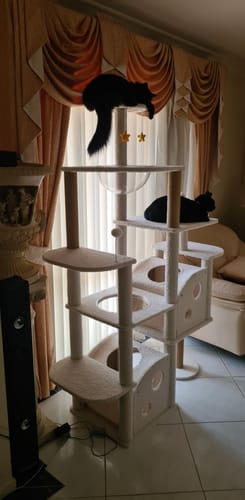 Customer photo review of Ella's Castle: Super Large Cat Tree -9 Tiers, Height 173cm