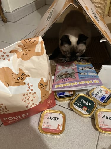 Avis photo d'un client sur Croquettes Chaton Sans Céréales - Poulet & Huile de Saumon