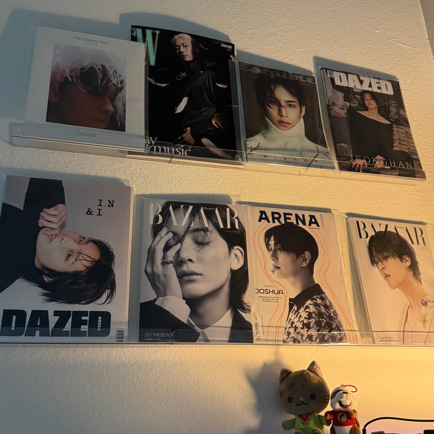 Customer photo review of PREMIUM MAGAZINE SLEEVES - A4 WIDE SIZE (250X300MM)